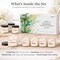 Scented Candles Gift Set, 8 Pack Soy Wax Candles for Home, Floral Fresh Aromatherapy Scents for Women, Birthday, Mother's Day